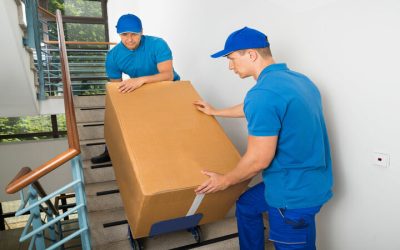 Streamline Your Move with Full Service Movers Eden Prairie for a Stress Free Relocation